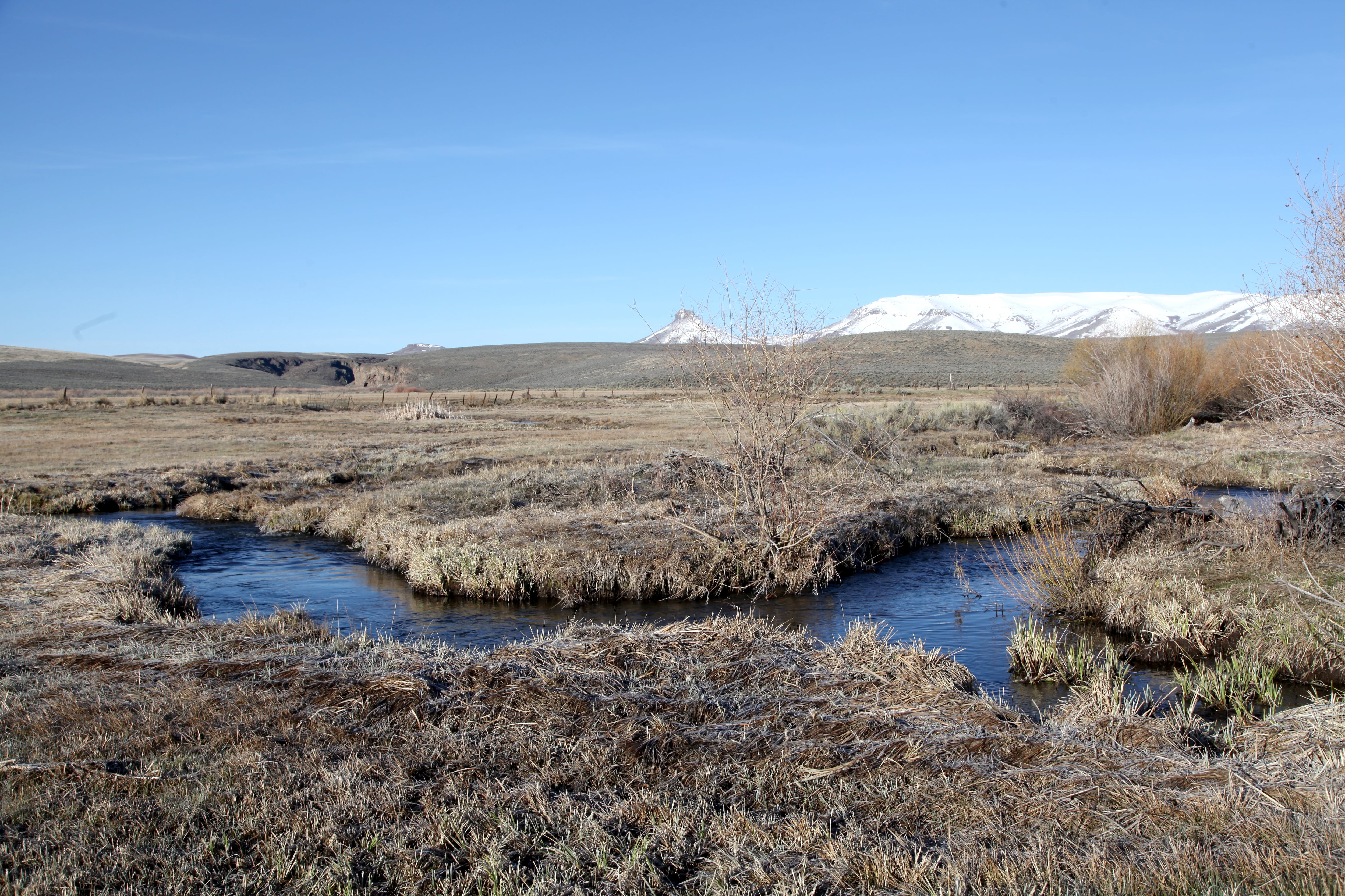 McDermitt Creek runs through Disaster Peak Ranch in the McDermitt Caldera, that straddles the Oregon-Nevada state line. The area is home to threatened Lahontan cutthroat trout and hosts many sage grouse breeding sites in an expansive sagebrush sea.