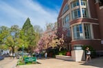 The William Knight Law Center is where students of University of Oregon's law school pursue their studies.