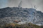 July 24, 2023: A deer runs with smoke in the background during a fire between the villages of Kiotari and Gennadi, on the Greek island of Rhodes.