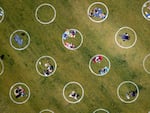 An aerial view shows painted circles in the grass to encourage people to keep a distance from each other at Washington Square Park in San Francisco. The photo is from May 22, 2020.