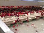 Corral variety cherries gently fall off a conveyor belt into a sluice of water on a cherry packing line in Grandview, Wash.
