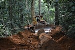 A bulldozer opening a secondary logging road in a tropical rainforest in Gabon.