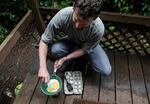 Patrick Alexander makes breakfast using his emergency supply kit at their house in Lincoln City. The Alexander family is partially surviving on fresh eggs from chickens they raise. 
