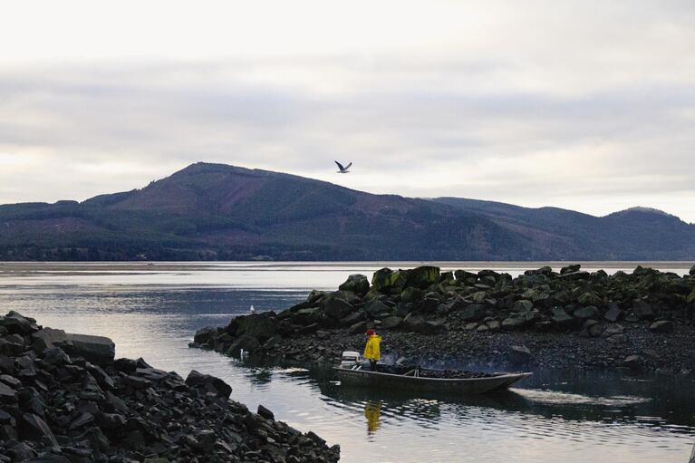 The calm waters of Netarts Bay are home to Whiskey Creek, one of the largest oyster hatcheries in the United States. Netarts Bay is one of only a few places on the West Coast where Pacific oyster larvae can grow and thrive.