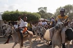 As the festival gathers steam, people parade hundreds of donkeys through the streets of San Antero.