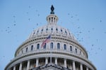 In this file photo, birds fly around the U.S. Capitol Dome during sunrise on September 05, 2024 in Washington, DC.