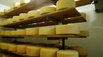 Rounds of cheese on a shelf in a lit room.