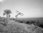 Even though the U.S. said it eliminated malaria in 1951, efforts have continued to keep the disease at bay. Above: A Stearman biplane sprays insecticide during malaria control operations in Savannah, Georgia in 1973.