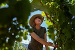Bailey poses for a portrait among the grape vines at Loop de Loop Winery.