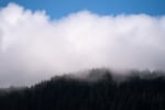 Fog, a vital part of the coastal temperate rainforest ecosystem, rolls over a mountainside in the Cascade Head Biosphere Region during its 50th anniversary celebration outside of Otis, Ore., on July 18, 2026.