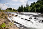 Fresh water flows to be collected and treated at the Salem Public Works’ water filtration facility in Stayton, Ore., July 31, 2025. Despite a state of emergency declaration, state officials confirm that Salem water is completely safe to drink.