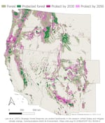 Researchers with Oregon State University have mapped the forests in the Western U.S. that should be the highest priority for protection by 2030 and 2050 to meet climate goals.