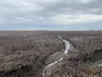 On Tipton's neighbor's farm, muddy soil washes off into a ditch. 