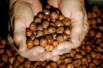 Two hands hold out hazelnuts above a pile of them.