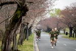Hains Point is part of the course of several major road races, including the Credit Union Cherry Blossom ten-mile run each April and the Marine Corps Marathon every October.
