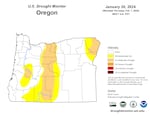 The U.S. Drought Monitor shows 32% of the state is abnormally dry and 16% is in moderate drought conditions.