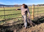 A man standing by a cattle fence while bending over to pet a dog on a sunny day