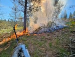 Mosier Fire District Captain Connor McKibben conducts a prescribed burn on Preston Booker's property in Mosier, Ore., on April 4, 2026. The controlled burn is one of the first burns carried out in Mosier on private land. 