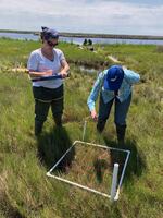 Jennifer Raulin (left) and a colleague work in the field on a government-supported project related to marsh restoration. Raulin had just started a federal job in coastal management with the National Oceanic and Atmospheric Administration in January before being fired in February.