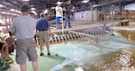 Managers with Northwest fish and wildlife agencies and tribes test spill patterns on a miniature version of The Dalles Dam in Vicksburg, Mississippi.