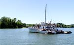 Boats anchored in the Willamette River near Ross Island appear to be abandoned, June 25, 2022. In June, the State Land Board directed the department to request $40 million in state general funds to create a state program to address the hundreds of commercial and recreational vessels littering Oregon’s waterways. If the request is approved, an estimated 175 recreational boats in the Portland metro area would be removed, but not until 2024 or 2025.