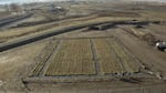 Researchers collected soil samples from this field at the Washington State University Irrigated Agriculture Research and Extension in Prosser, shown in this video still from January 2023.