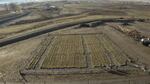 Researchers collected soil samples from this field at the Washington State University Irrigated Agriculture Research and Extension in Prosser, shown in this video still from January 2023.