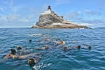 Sea lions roam the waters around Tillamook Rock Lighthouse.