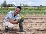 Natural dye artist Elan Hagens holds an indigo seedling ready for planting. Vibrant Valley Farm, Sauvie Island, Oregon. May 2025.