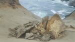 The crumbled remains of the sandstone pedestal at Cape Kiwanda.