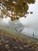 Portland's Mt. Tabor Park on November 21st, 2020