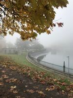 Portland's Mt. Tabor Park on November 21st, 2020