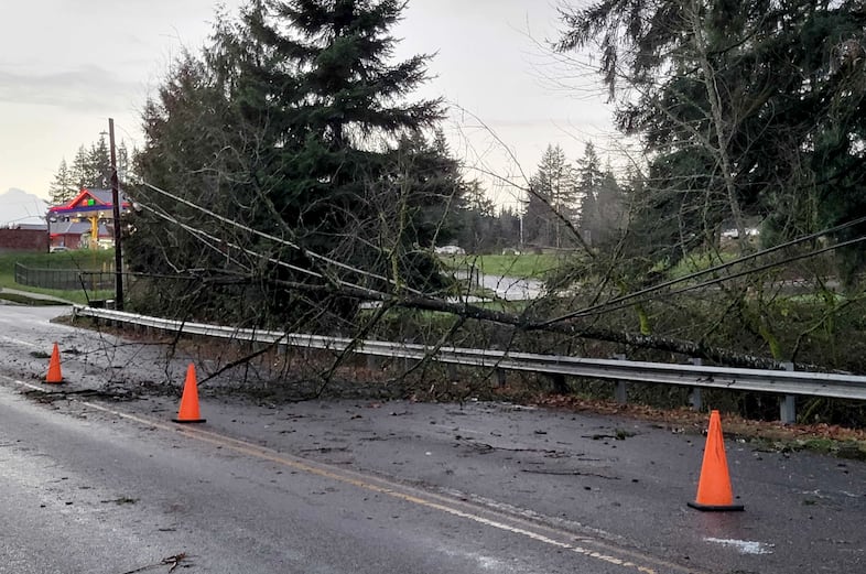 A tree lays across a powerline on SE Orient Road near the intersection of U.S. Highway 26 on Wednesday, Dec. 17, 2025.