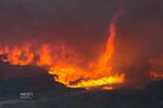 A fire tornado forms near cars parked on a country road at the Blue Cut Fire in 2016 near Wrightwood, California. Climate change is causing longer and more active fire seasons, according to the National Oceanic and Atmospheric Administration.