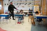 Santos, left, and Duke patrol a classroom at Freetown Elementary School while students Abigail MacLane, center, and Dylan Lam, right, look on.