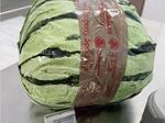 On August 16, U.S. Customs and Border Protection agents discovered nearly $5 million worth of methamphetamine disguised as watermelons at a checkpoint in San Diego.