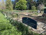 Just one of the many new places people are social distancing: community gardens. Portland Parks & Recreation has kept community gardens open while adhering to public health guidelines.