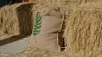 A canvas bag with a printed green fern leaf on it filled with compost leans against a bale of hay.
