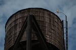 An American Barn Owl sits perched on a water tower on the Upper West Side neighborhood, Wednesday, Oct. 14, 2026, in New York.