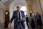 Senate Minority Leader Chuck Schumer, D-N.Y., pauses during a news conference at the Capitol on Tuesday. With Democrats out of power in Washington, D.C., the party faces a challenging 2025.