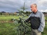 Chal Landgren is a Christmas tree expert with Oregon State University.