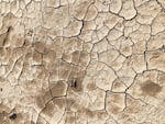 cracks in dry earth