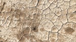 cracks in dry earth