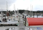 Viewpoint of the Charleston Marina on Dec. 7, 2023. Many fisherman in the area are worried about the impacts of floating offshore wind turbines could have on the fishing idustry.