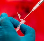 DNA evidence is processed at Washington State Patrol’s Crime & Forensic Laboratory in Vancouver, Wash., March 14, 2025.