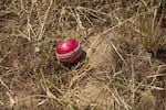 A cricket ball lies outside the boundary. Cricket is played on an oval typically much larger than a baseball field, making it difficult to find space.