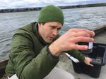 Washington State University PhD student Eric Dexter collects plankton samples from a dock on the Columbia River in Vancouver, Washington.