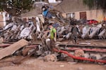 Volunteers cross a railway track after floods in Paiporta, Spain, Thursday, Nov. 7, 2024.