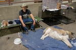A person at a shelter sits on a cot, while his dog lays on a tarp on the floor next to him.