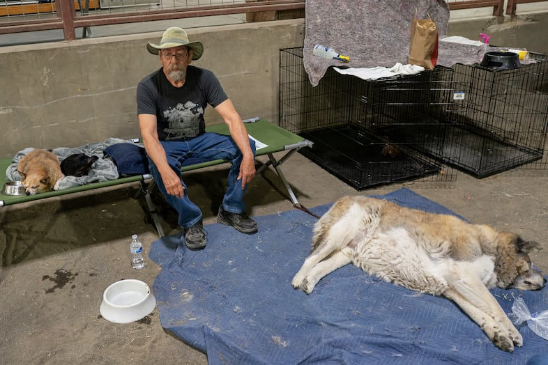 A person at a shelter sits on a cot, while his dog lays on a tarp on the floor next to him.